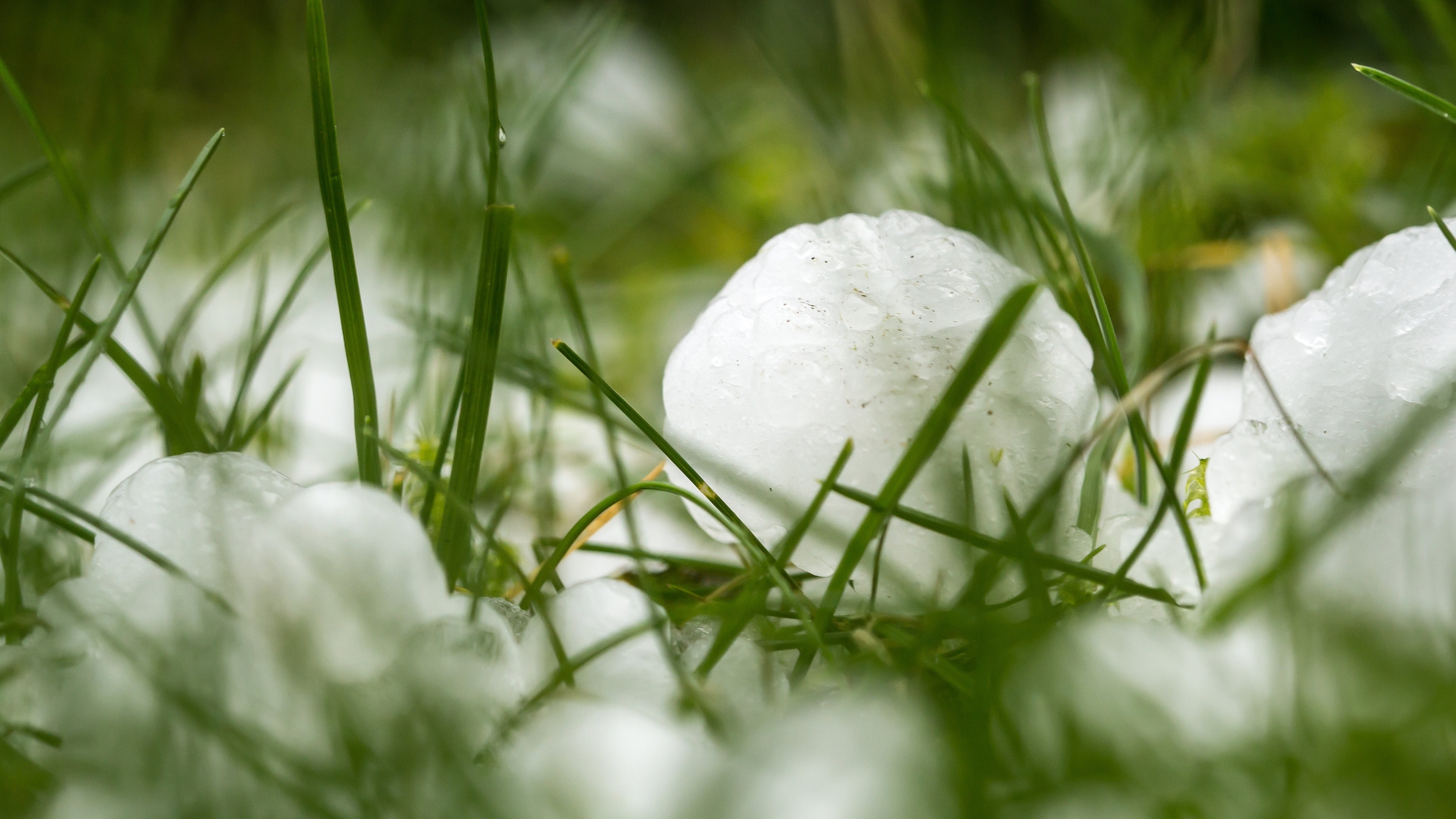 The Science of Hail: Understanding How Hail Forms and Its Impact on Vehicles