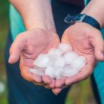 Person holding large hail in two hands