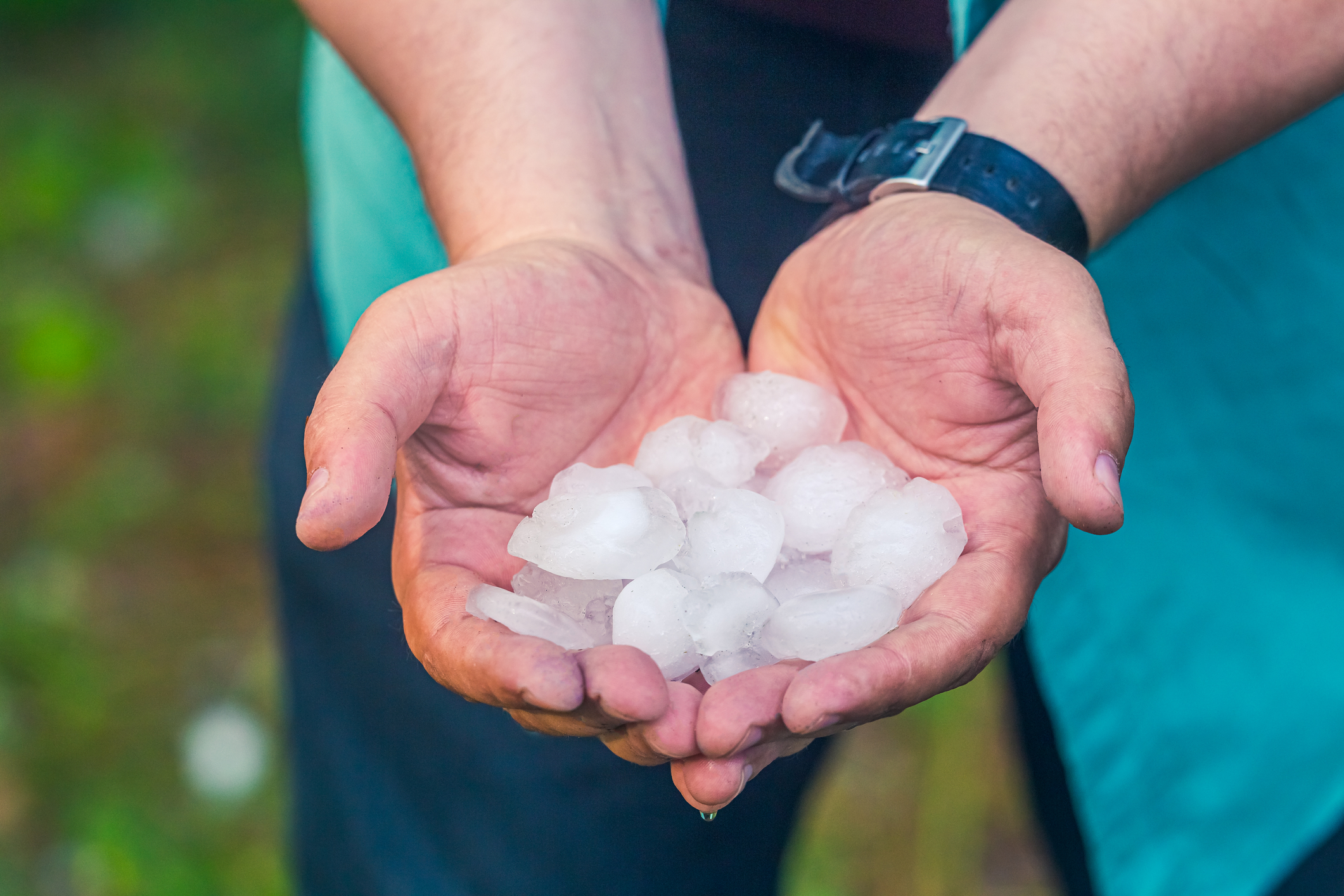 Person holding large hail in two hands